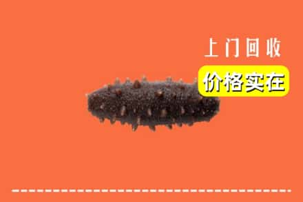收购资讯:洛阳吉利区回收海参