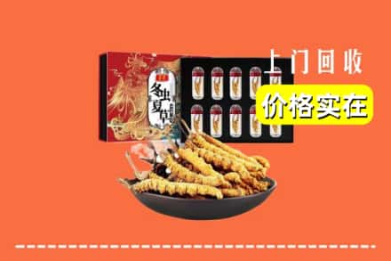 洛阳吉利区回收虫草